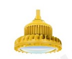 EXPLOSION-PROOF 
FACTORLY LIGHT