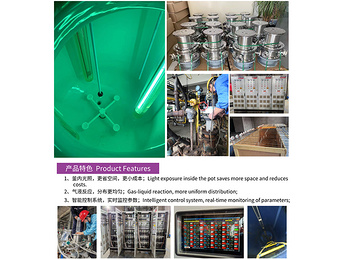 Immersion photochemical reactor