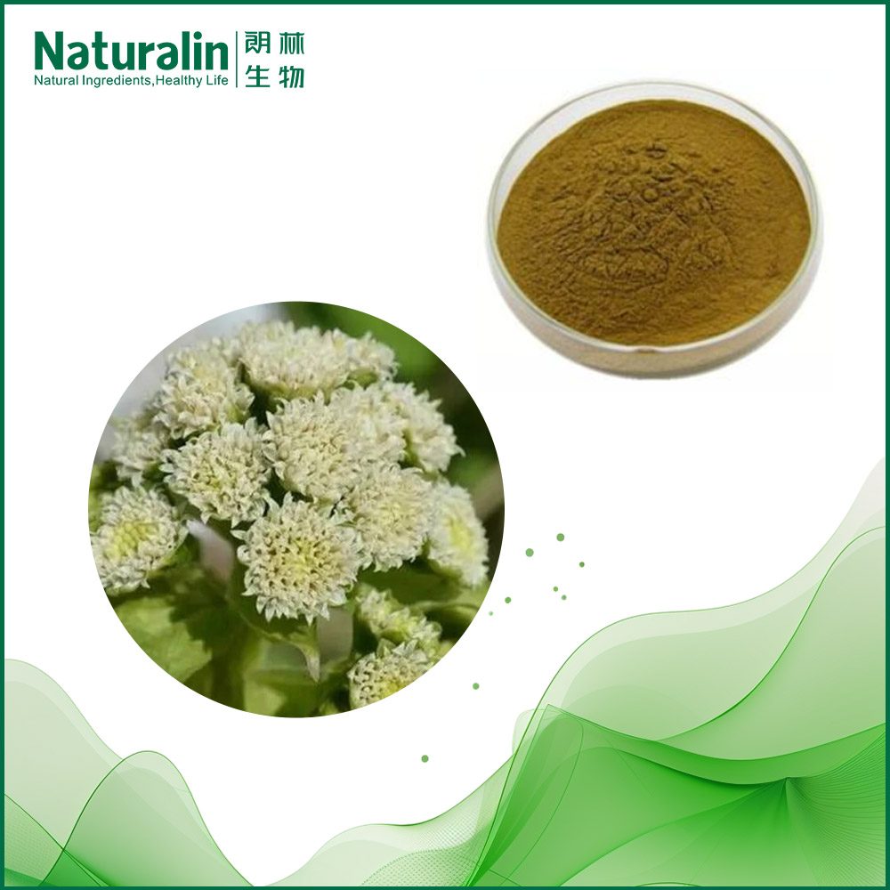Butterbur Extract  
