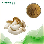 Coprinus comatus Extract