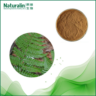 Wall fern Extract