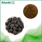 Dark Plum Extract