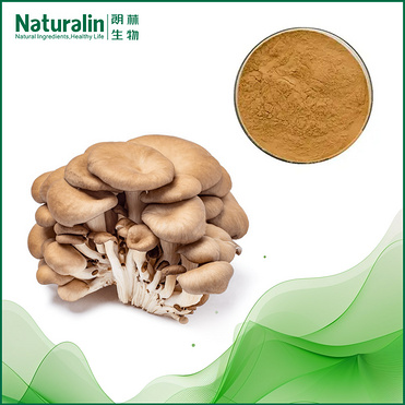 Oyster mushroon Extract