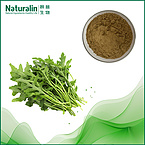 Shepherd's Purse Extract