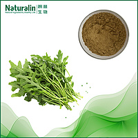 Shepherd's Purse Extract