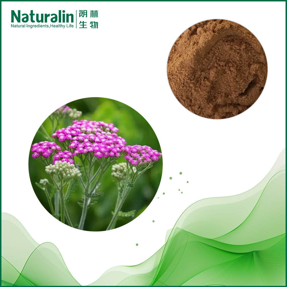 Europe Yarrow leaves Extract