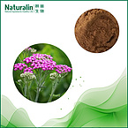 Europe Yarrow leaves Extract