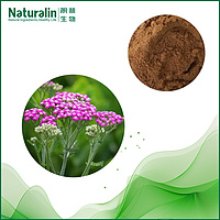 Europe Yarrow leaves Extract