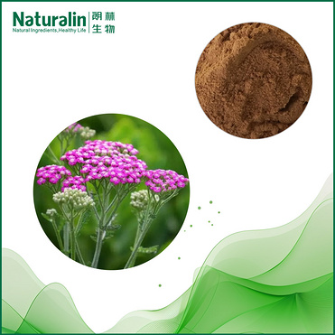 Europe Yarrow leaves Extract