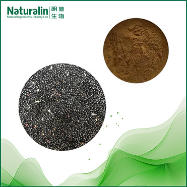 Feather Cockscomb Seed Extract