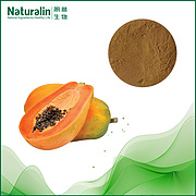 Papaya Extract