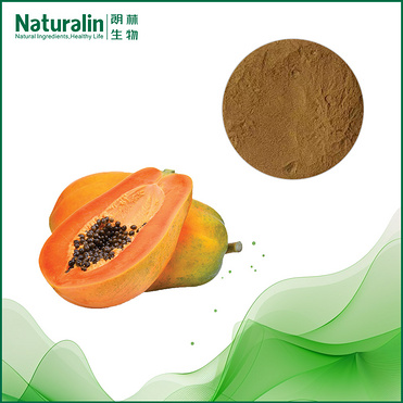 Papaya Extract
