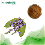 Coleus forskolin Extract