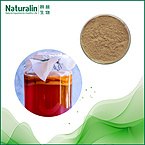 Kombucha Tea extract