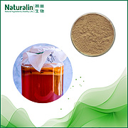 Kombucha Tea extract