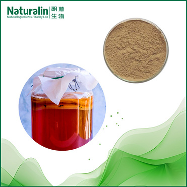 Kombucha Tea extract