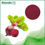 Beet root Extract