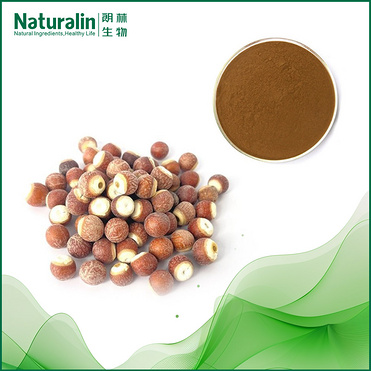 Cishi Extract