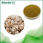 Ark Shell Extract