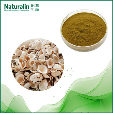 Ark Shell Extract