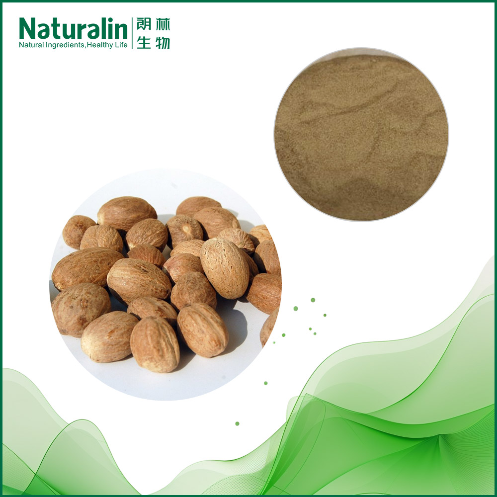 Myristica fragrans Extract  