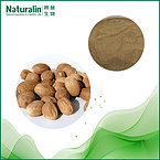 Myristica fragrans Extract