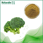 Brocoli Extract