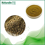 Celery seed Extract