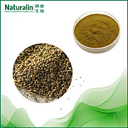 Celery seed Extract