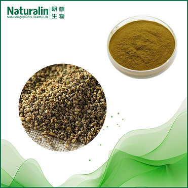 Celery seed Extract