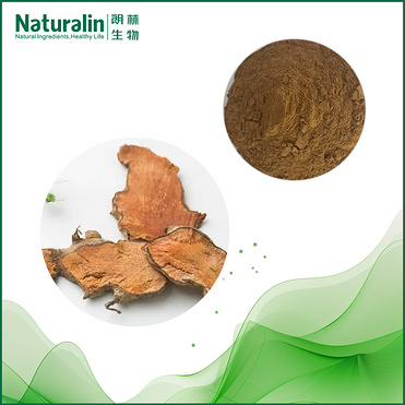 China root Greenbier Rhizome Extract