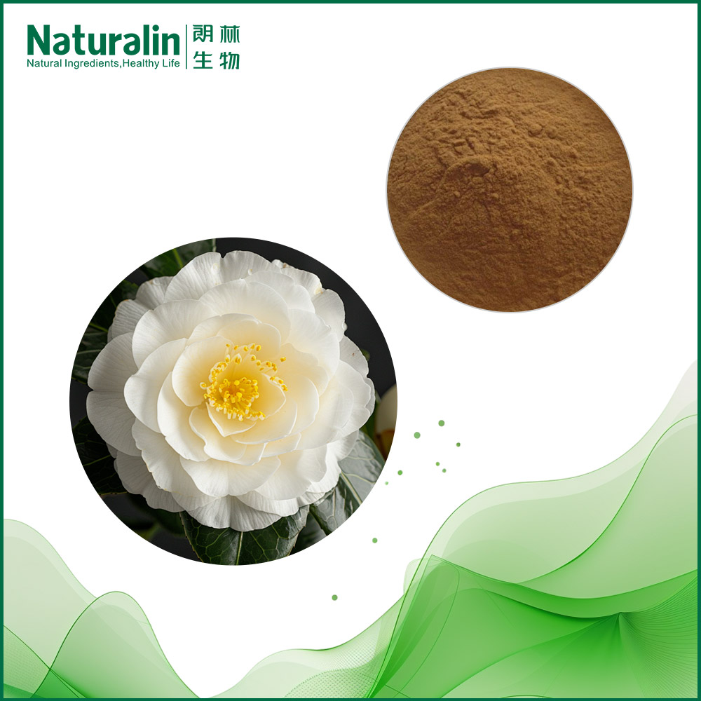 Camellia Extract