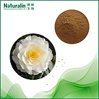 Camellia Extract