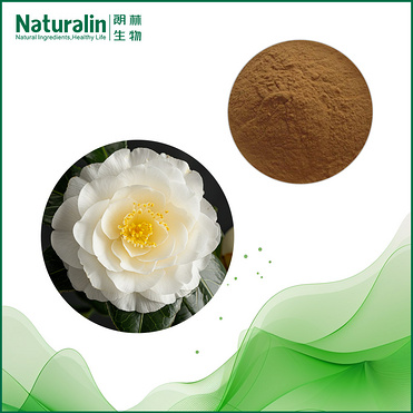 Camellia Extract