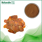 Red Ginseng Extract