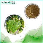 White Brich Leaf Extract