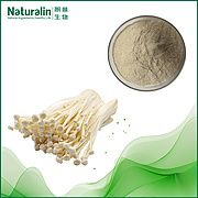 Enoki Mushroom Extract