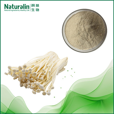 Enoki Mushroom Extract