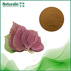 Perilla Leaf Extract