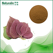 Perilla Leaf Extract