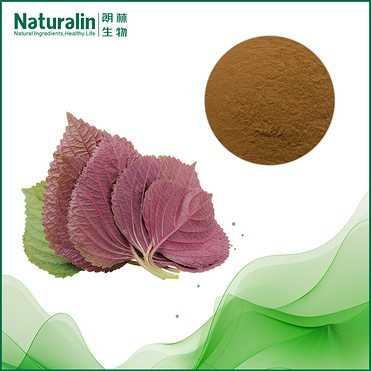 Perilla Leaf Extract