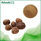 Fructus Amomi Extract