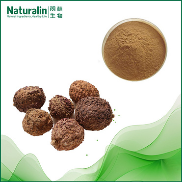 Fructus Amomi Extract