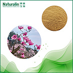 Biond Magnolia Flower Extract