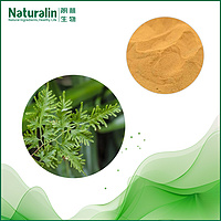 Japanese Climbing Fern Spore Extract