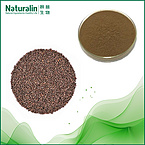 Fructus Perilla Extract