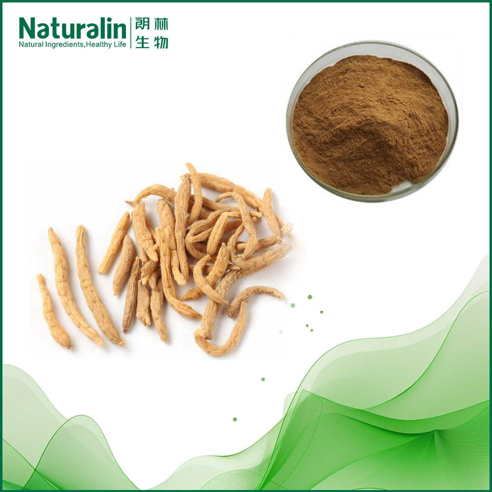 Radix Pseudostellariae Extract