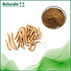 Radix Pseudostellariae Extract