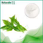 Sweet Tea Extract