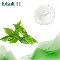 Sweet Tea Extract